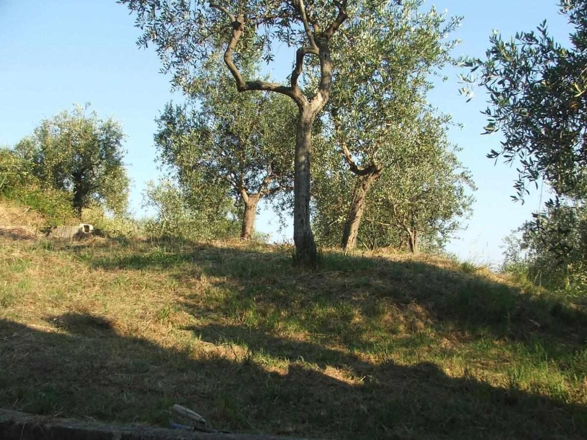 La Casetta Di Sofia โมเนเลีย ภายนอก รูปภาพ