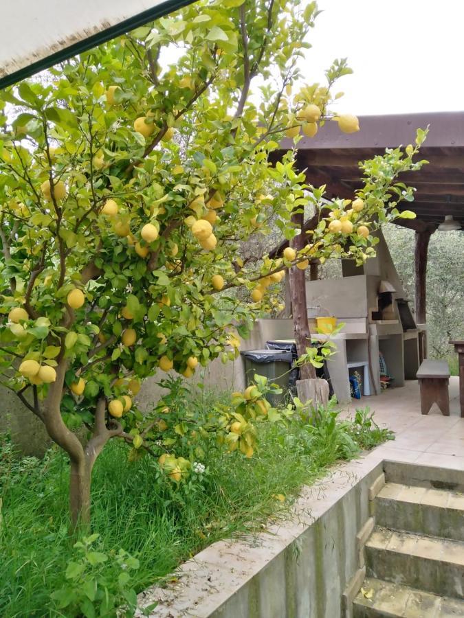 La Casetta Di Sofia โมเนเลีย ภายนอก รูปภาพ