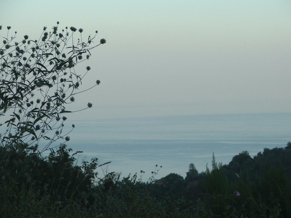 La Casetta Di Sofia โมเนเลีย ภายนอก รูปภาพ